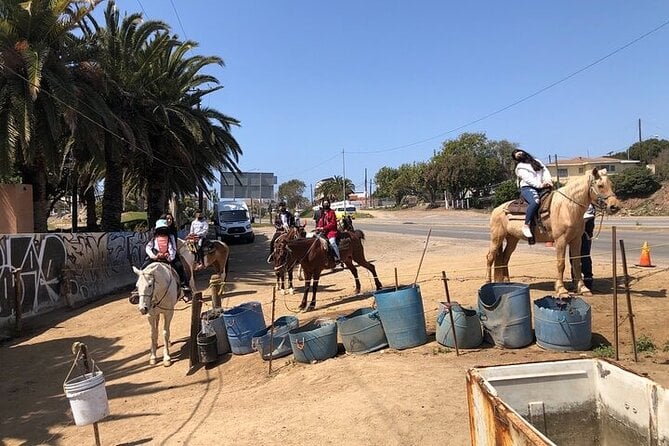 Horseback Riding Rosarito Beaches & Puerto Nuevo Lobster - Itinerary Highlights