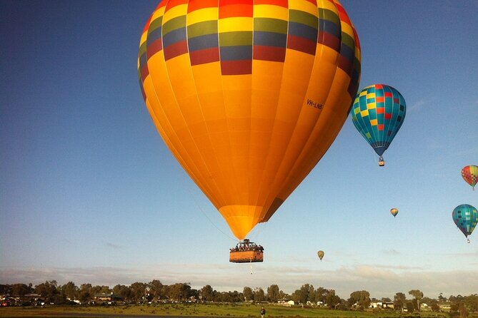 Hot Air Balloon Flight Over the Avon Valley Flight Only
