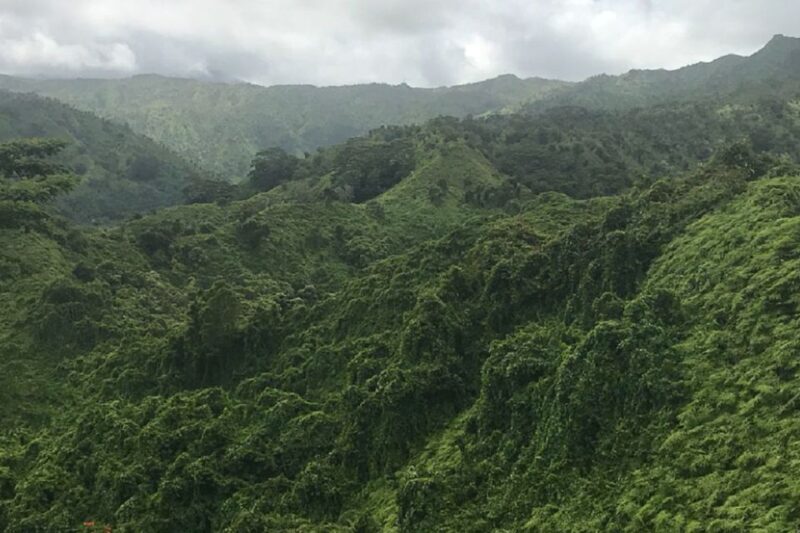Kauai: Half-Day Kauaʻi Adventure - Explore Flora and Fauna