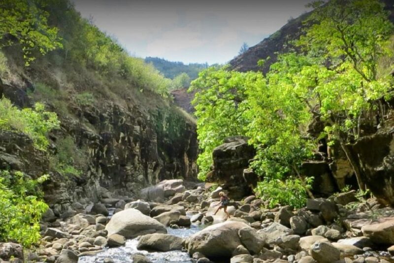 Kauai: Waimea Canyon & Kokeʻe State Park Private Tour - Meeting Point and Logistics