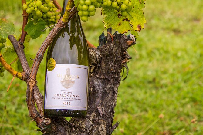 Private Vineyard Bush Walk Tour in Waiheke Island