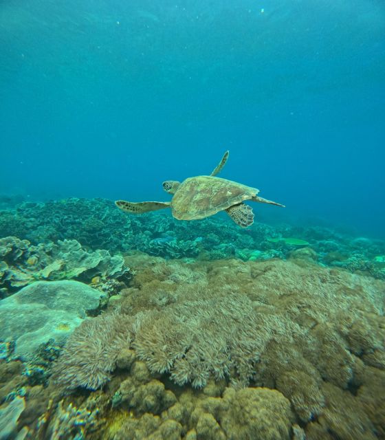 Snorkeling Nusapenida - Best Part Swim With the Mantarays🤙 - Participant Restrictions