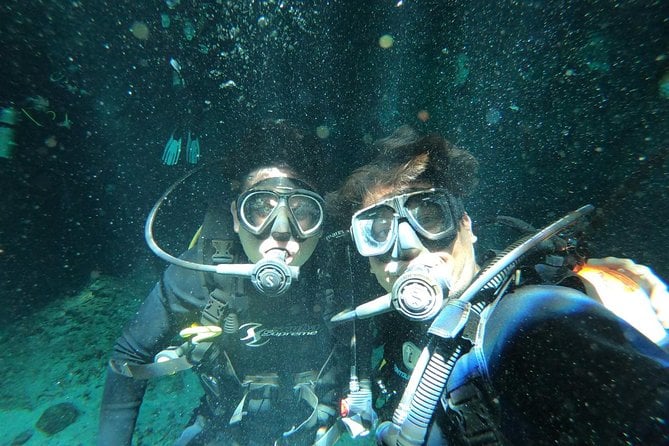 Tulum Cenote Diving. the Real Mayan Underworld - Two Cenote Dives Included