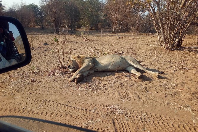 5-Day Explore Zimbabwe, Zambia and Botswana