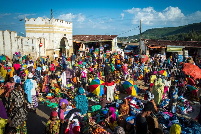 4 Best National Park Tours In Addis Ababa