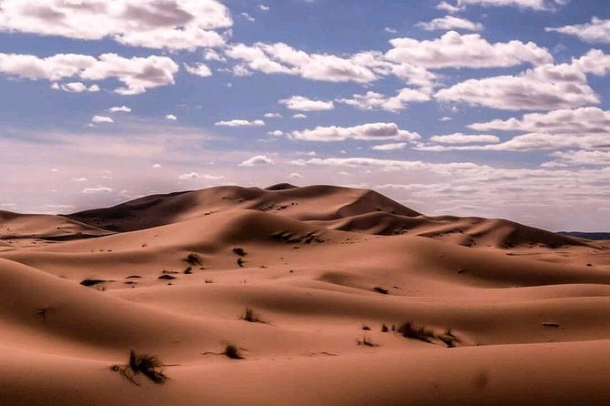 ✅ Camel Ride and Overnight in Sahara Desert Camp - Private Camel Guide and Tour