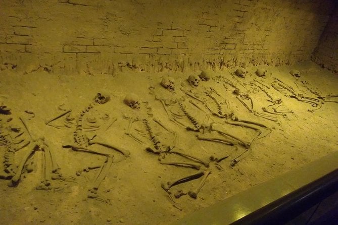 Explore Anthropology Museum in Mexico City - Review Highlights