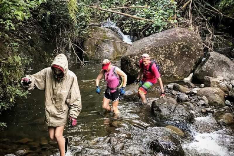 Kauai: Half-Day Kauaʻi Adventure - Tour Options and Customization