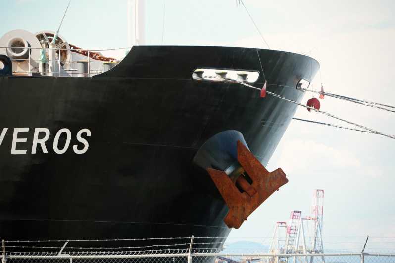 Private Round-Trip Transfer: From Heathrow↔Southampton Port. - Communication and Support