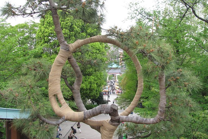 Tokyo Highlights, Asakusa, Ueno, Yanaka Walking - Tour Overview