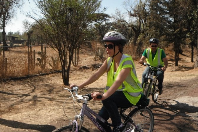 VIP Experience in Teotihuacán (The Cheapest Price for Private Tour) - Customer Feedback