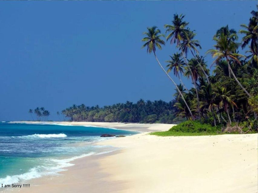 6 Nights 7 Days-Muslim Halal Tour With Beach Vacation - Tour Overview