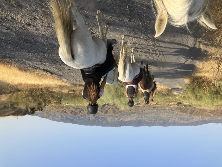 Almeria: Tabernas Desert Horse Riding for Experienced Riders
