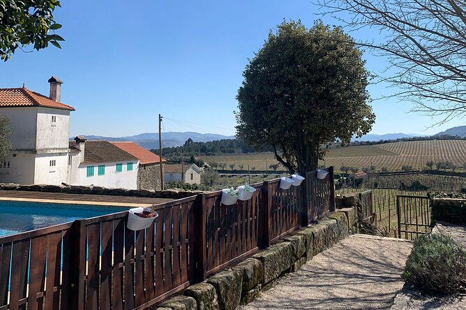 Douro Full Day Tour With Wine Tasting and Lunch - Tour Overview