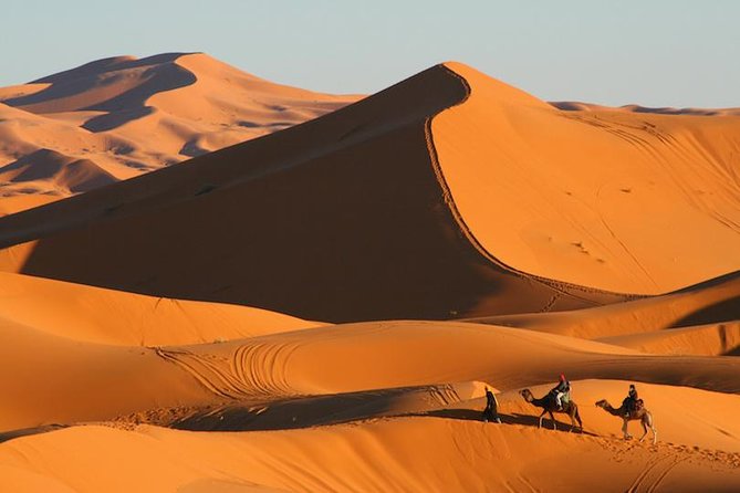 ✅ Camel Ride and Overnight in Sahara Desert Camp - Pickup and Meeting Point
