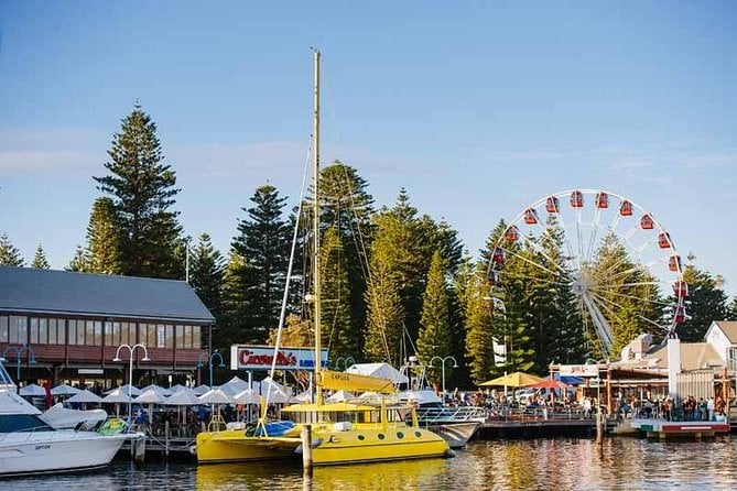 Fremantle Twilight Sail - Migrating Whale Watching