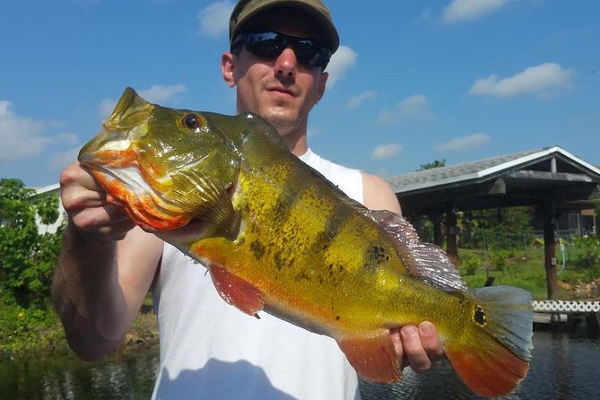 Peacock Bass Fishing Trip in Boynton Beach