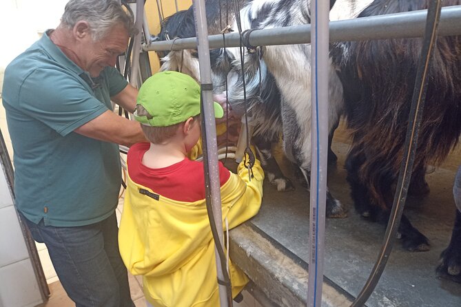 Tenerife Animal Farm Private Car Tour. Canarian Cheese and Wine