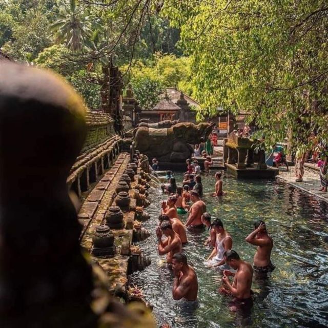 Ubud : Highlight Ubud Village, Culture and Waterfall Tours | Power ...