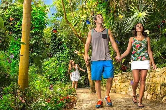 Xcaret Park Plus With Round Transportation From Cancun & Riviera Maya - Reviews and Traveler Feedback
