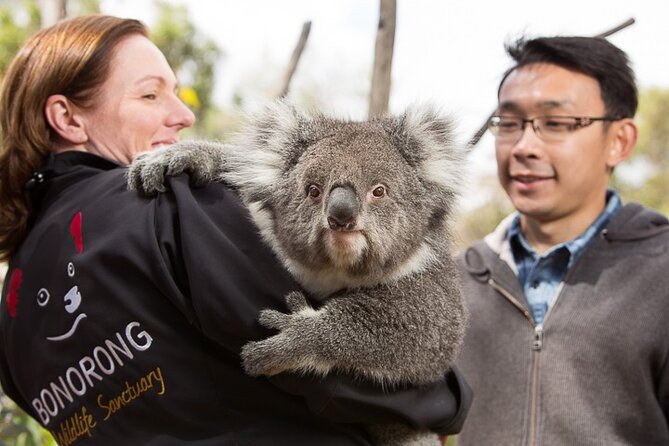 Bonorong Wildlife Park and Richmond Afternoon Tour From Hobart - Tour Overview and Highlights