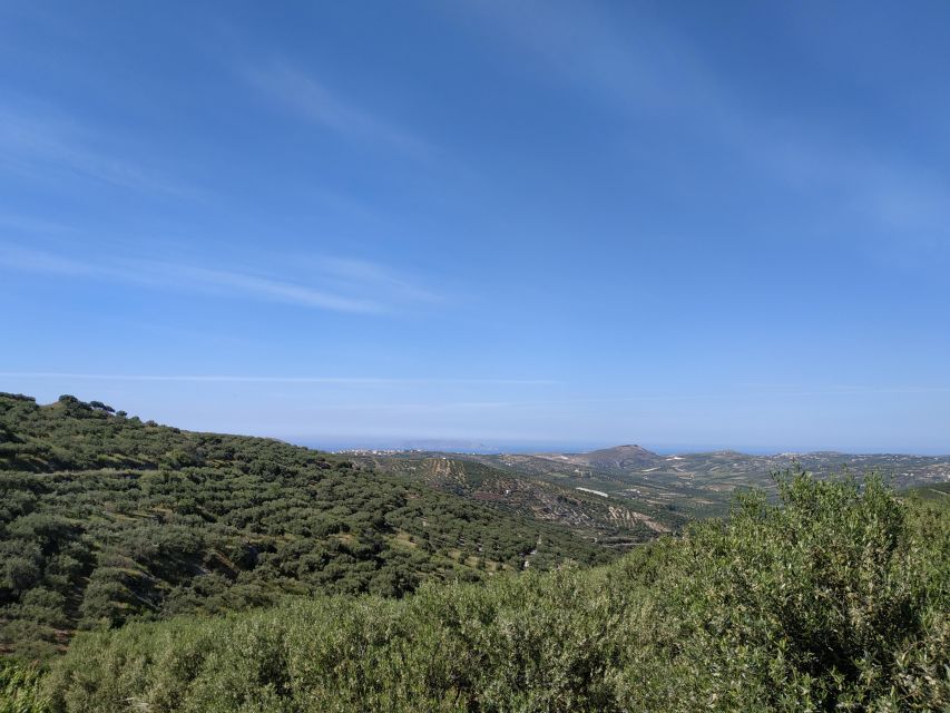 Ecobike: Food Tasting - Discover Cretan Cuisine & Villages