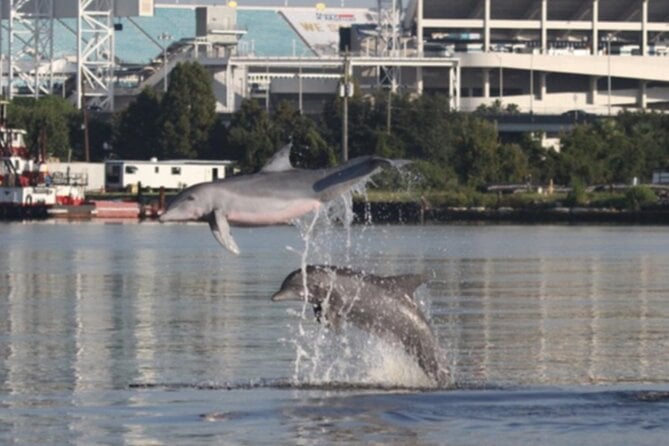 Jacksonville Private Daytime Boat Tour in for up to 6 Passengers