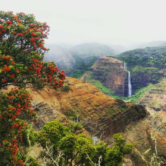 Kauai: Waimea Canyon & Kokeʻe State Park Private Tour - Waterfall and Canyon Walls