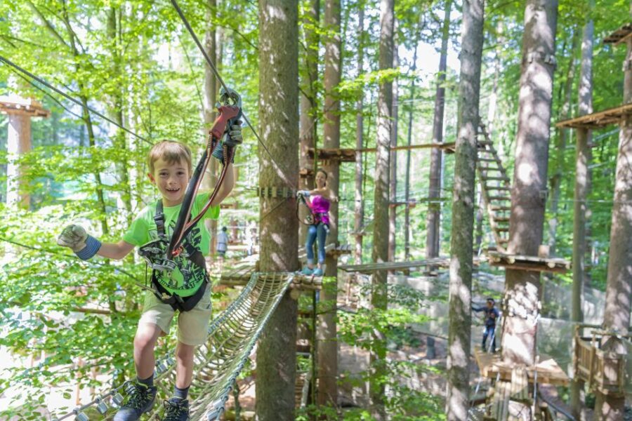 Rope Park Interlaken: Climbing Adventure With Entry Ticket