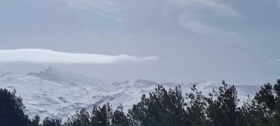 Sierra Nevada E-Bike Tour Ski Resort Small Group