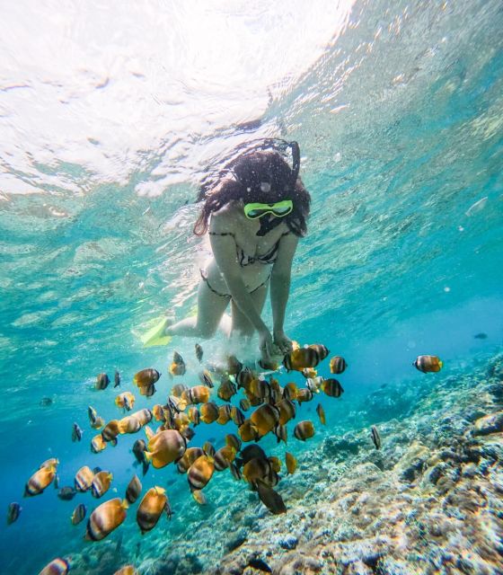 Snorkeling Nusapenida - Best Part Swim With the Mantarays🤙 - Gamat Bay and Wall Bay