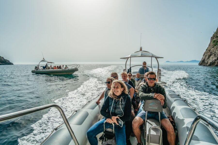 Alcudia/Can Picafort: Dolphin-Watching Cruise in Small Group