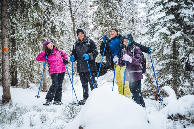 Snowshoe Winter Hike From Stockholm - Overview of the Activity