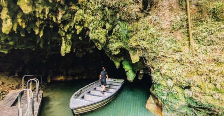 From Auckland: Hobbiton and Waitomo Day Tour With Lunch