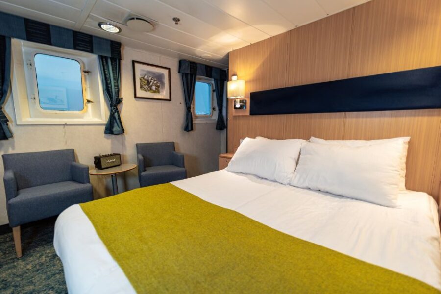 From Tromsø: Overnight Northern Lights & Whale Watching Tour