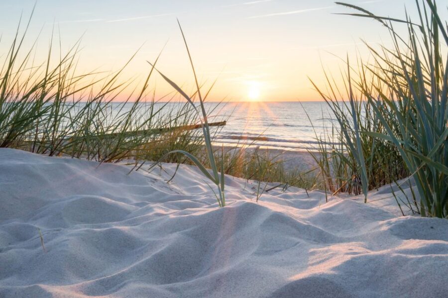 Lisse: Drive-it-Yourself Electric Dune & Beach Audio Tour