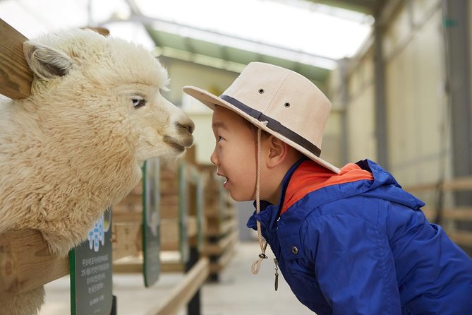 Alpaca World & Suspension Bridge Day Tour With Luge Ride