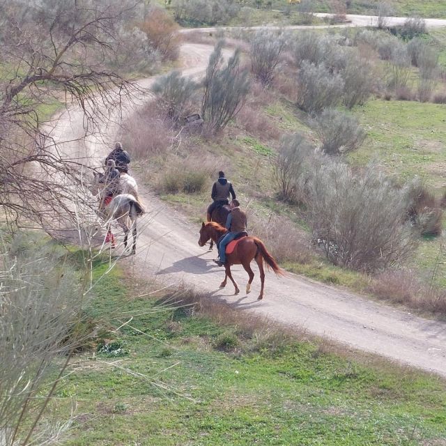 Andalusia: Horse Riding Tour With Picnic