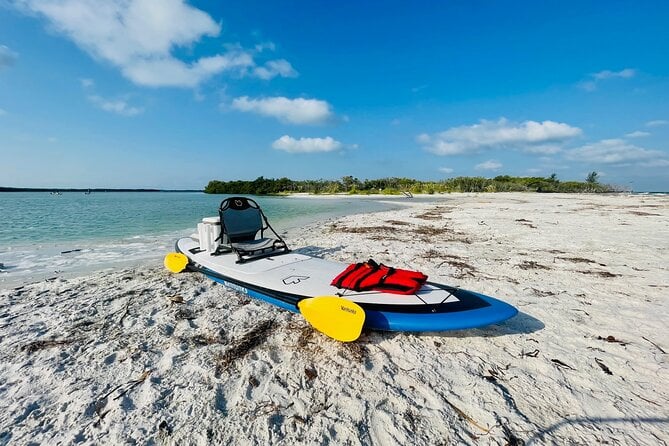 Backland Alligator Electric Paddle Tour