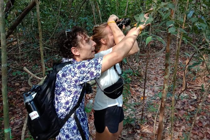 Birdwatching: Desarus Winged Gems - Tour Overview