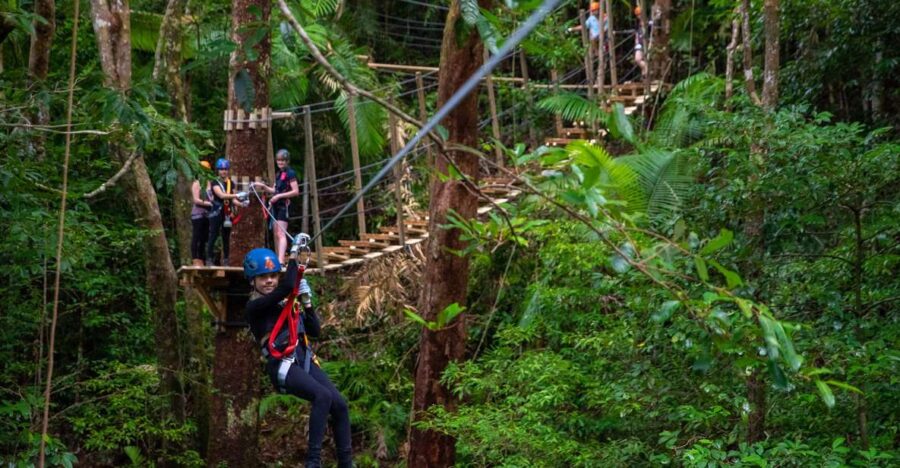 4 Best Tours In Cape Tribulation