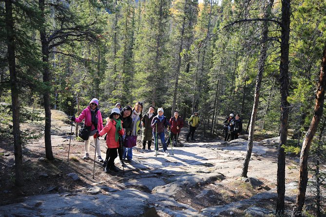 Cameron Falls Hiking Tour