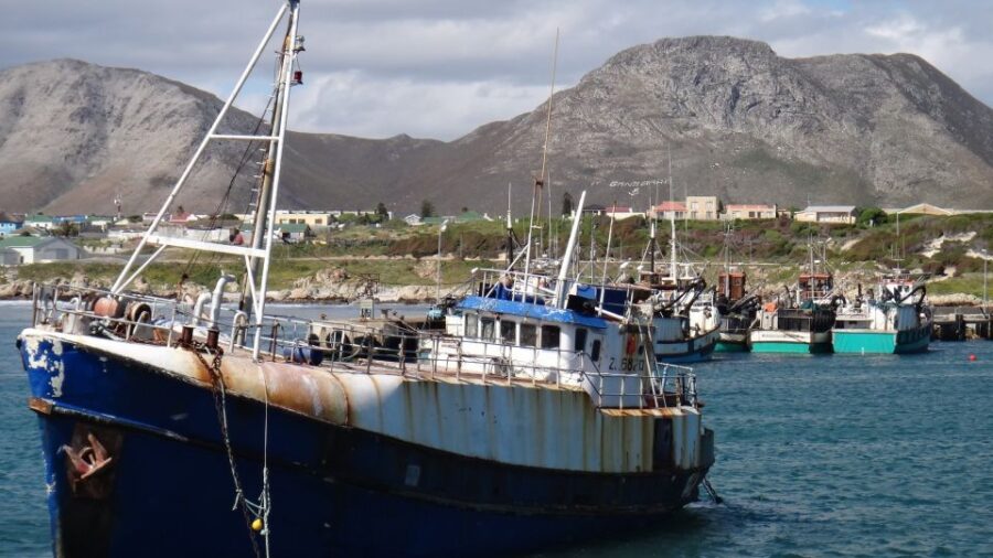 Cape Town: Shark Diving at Gansbaai Harbor Private Tour - Tour Duration and Highlights