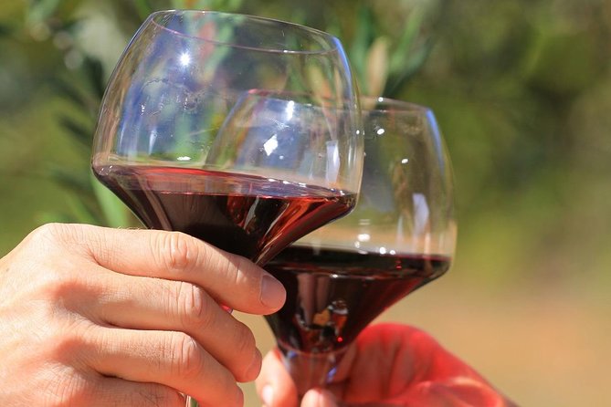 Châteauneuf Du Pape Wine Day Tasting Tour Including Lunch From Avignon