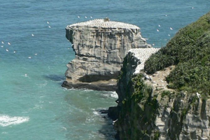 Coast to Coast Auckland Wine Tasting Day Tour