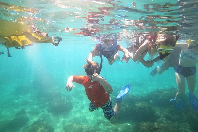 Coral Reef Snorkel Adventure With Photos and Videos