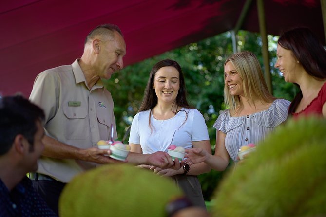 Daintree Rainforest and Cape Tribulation Day Tour From Cairns