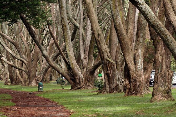 Eastern Bay Beaches and Cornwall Park