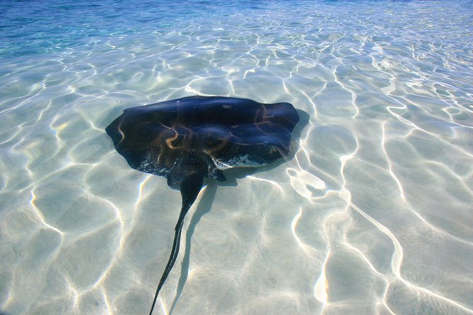 2 Best Snorkeling Experiences In Grand Turk