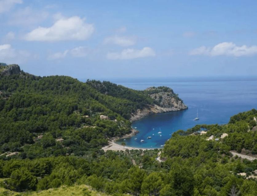 Excursion Through the Tramuntana Mountains - Excursion Overview